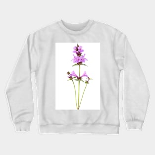 Stachys macrantha  Big Betony Crewneck Sweatshirt